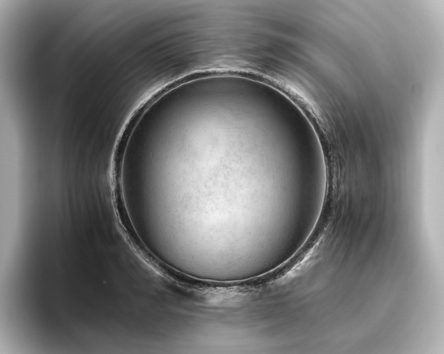 X0000096480990200801241441