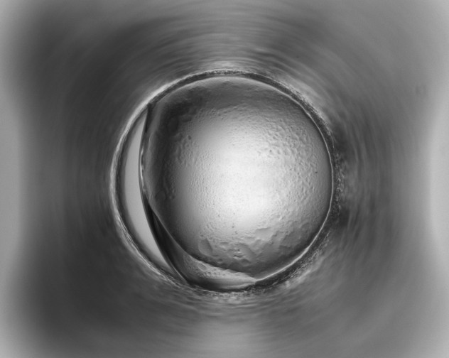 X0000096480991200801241441