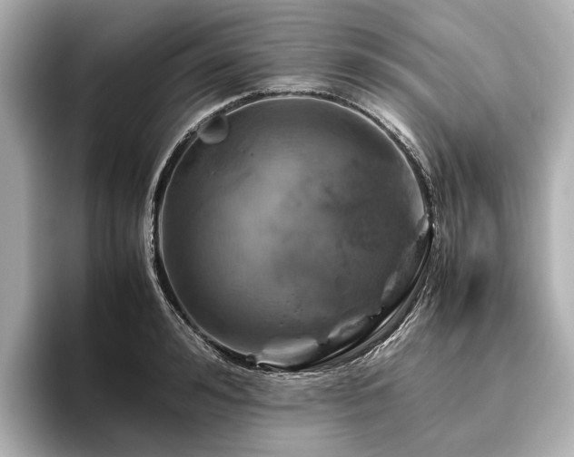 X0000096480992200801241441