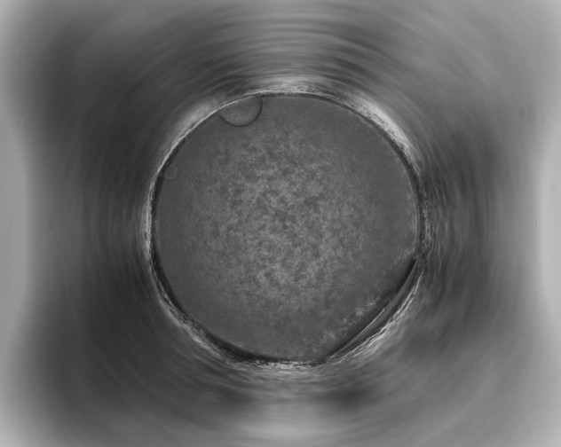 X0000096480994200801241441