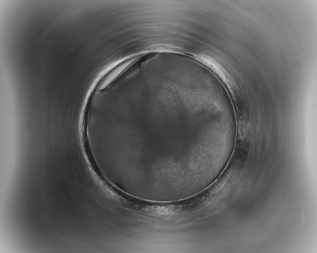 X0000096480995200801241441