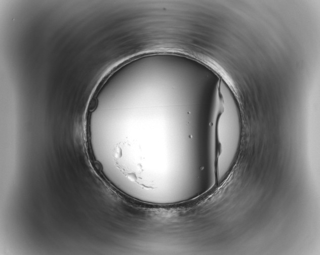 X0000096480996200801241441