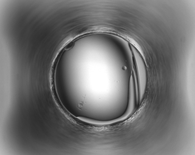 X0000096480997200801241441