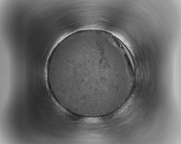 X0000096480998200801241441