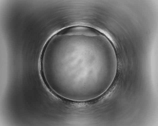 X0000096480999200801241441