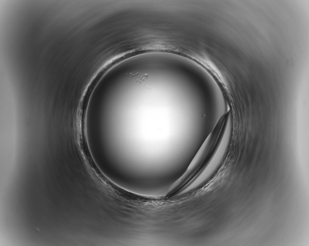 X0000096481000200801241441