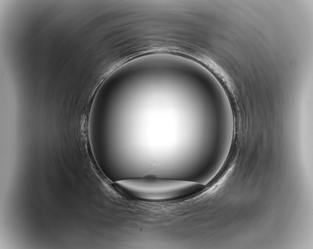 X0000096481001200801241441