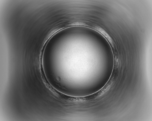 X0000096481002200801241441