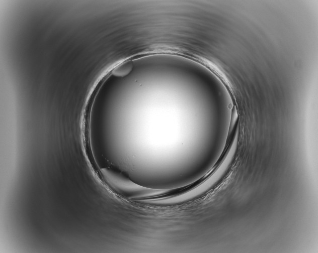 X0000096481003200801241440