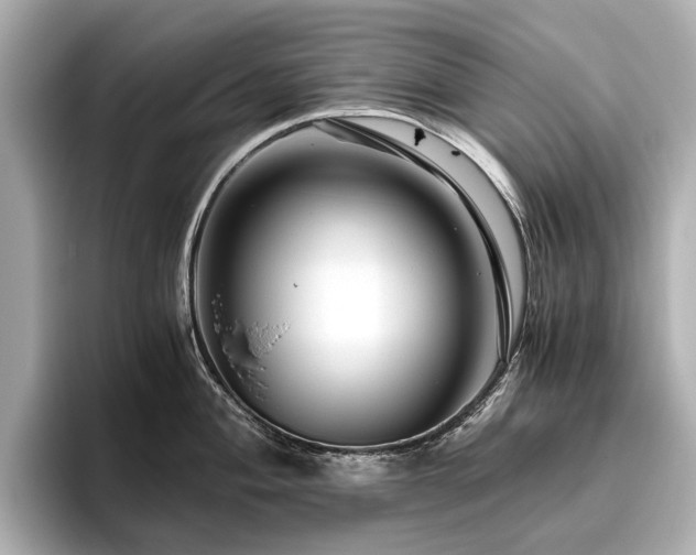 X0000096481004200801241440