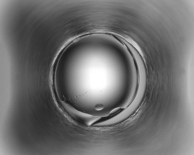 X0000096481005200801241440