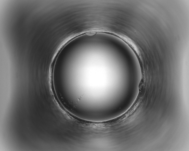 X0000096481006200801241440