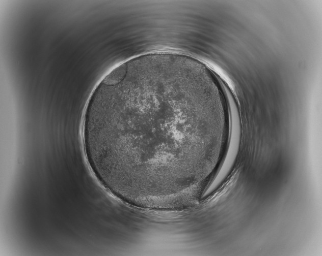 X0000096481007200801241440