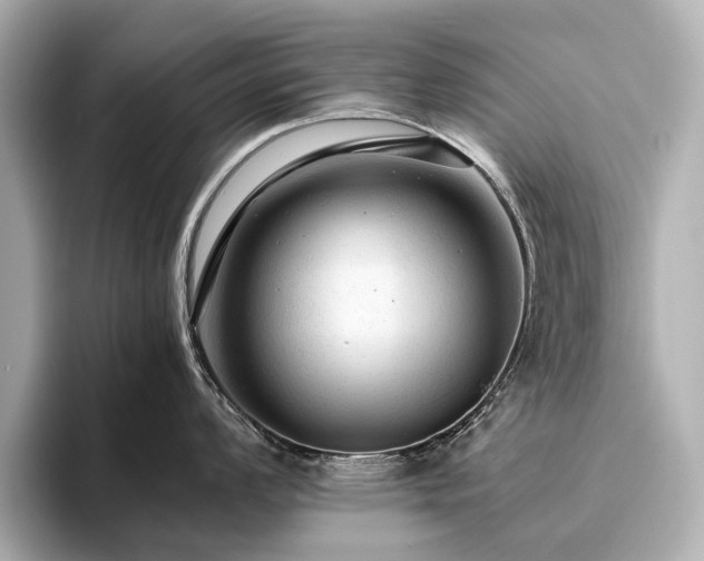 X0000096481008200801241440