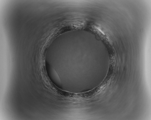 X0000096481009200801241440