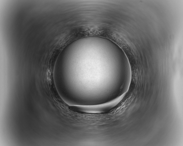 X0000096481010200801241440