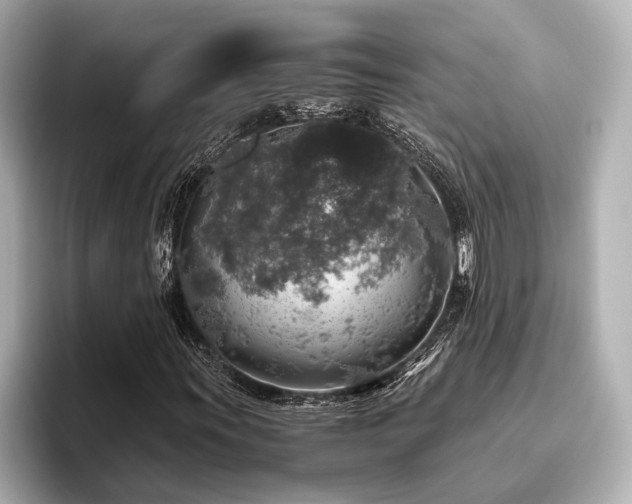 X0000096481011200801241440