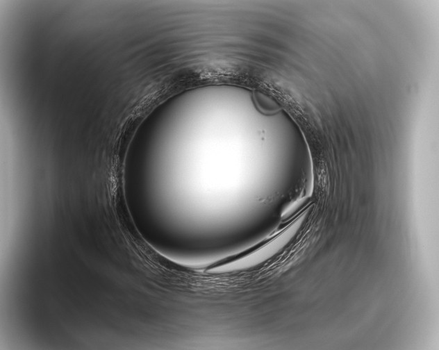 X0000096481012200801241440