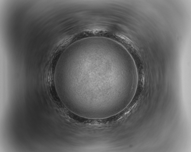 X0000096481014200801241440