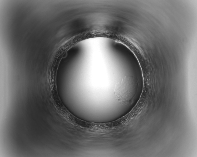 X0000096481015200801241440