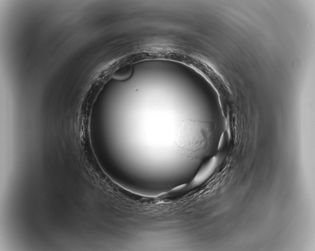 X0000096481016200801241440