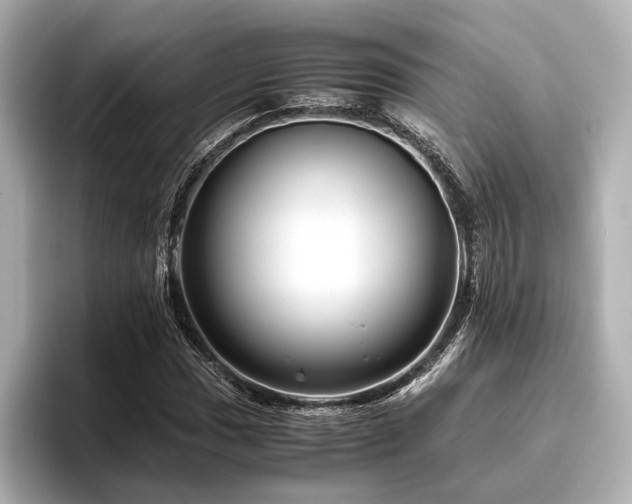 X0000096481017200801241440