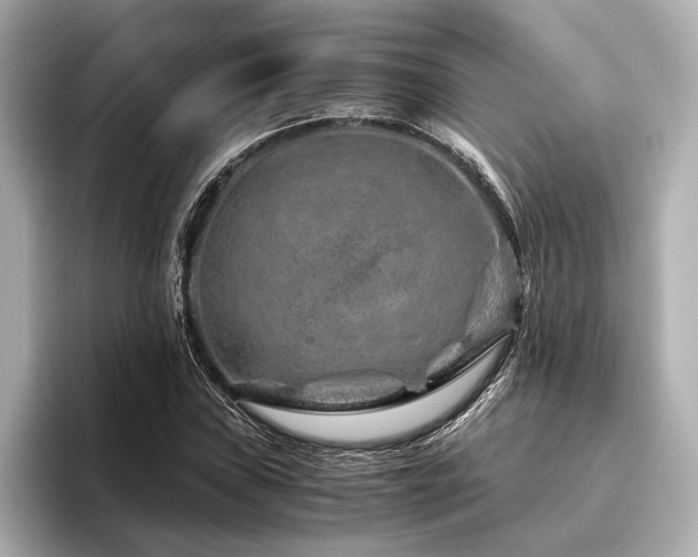 X0000096481019200801241440