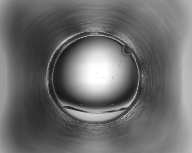 X0000096481020200801241440