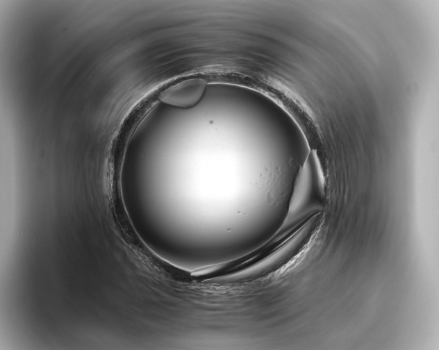 X0000096481021200801241440