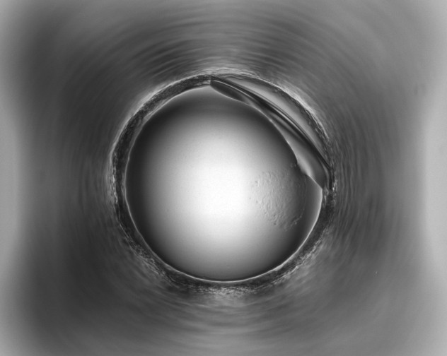 X0000096481022200801241440