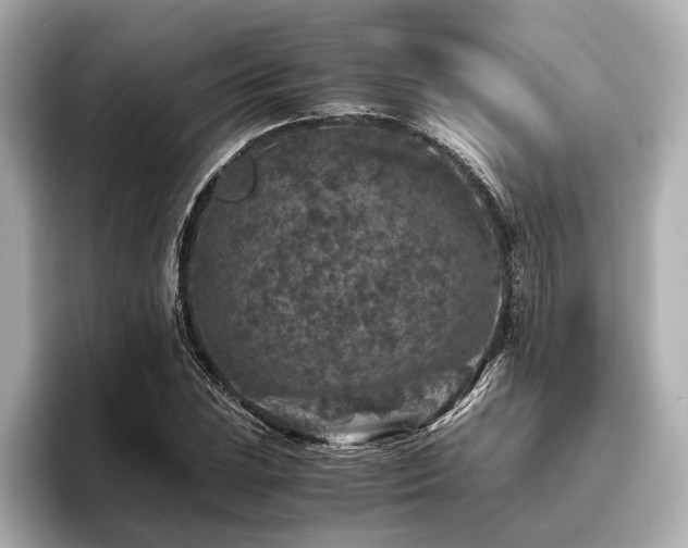 X0000096481023200801241440