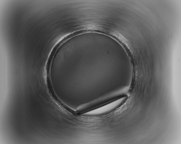 X0000096481024200801241440