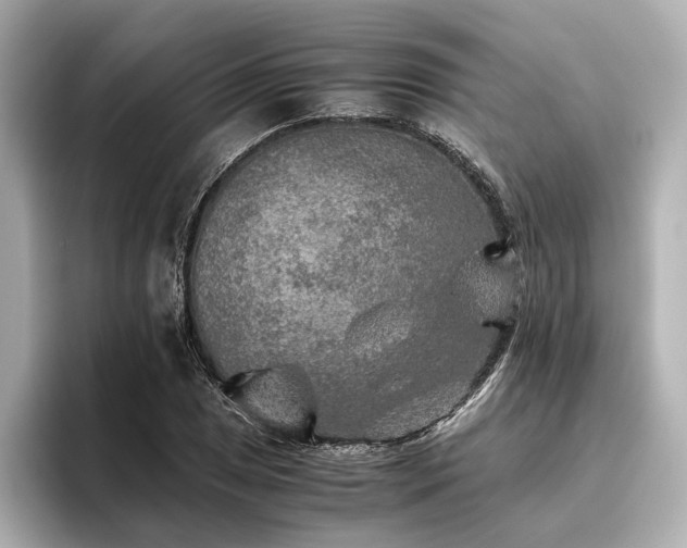 X0000096481025200801241440