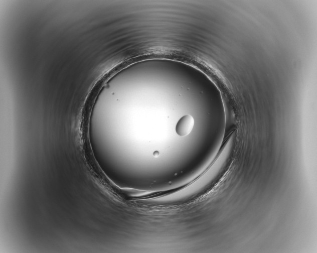 X0000096481026200801241440