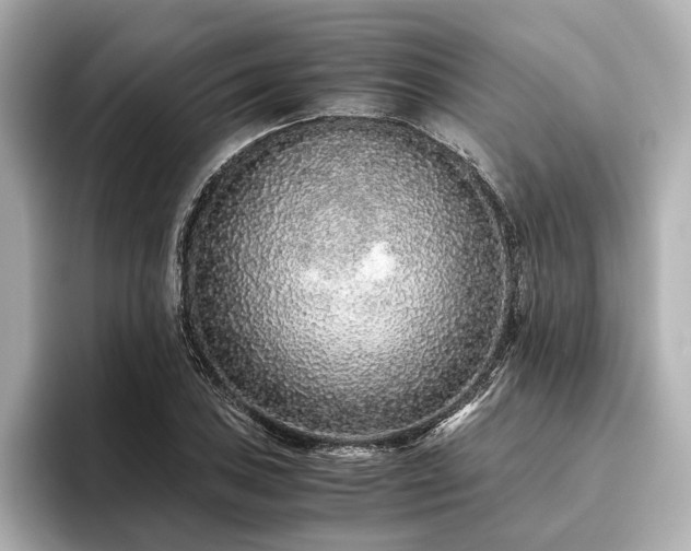 X0000096481027200801241440