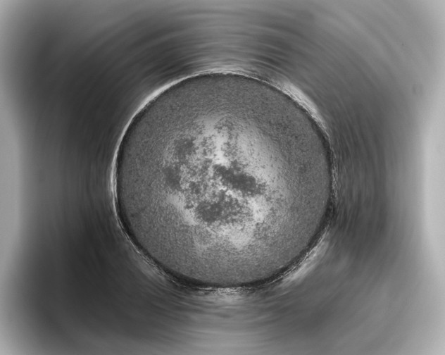 X0000096481028200801241440