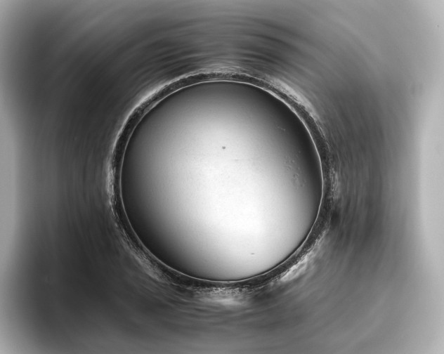 X0000096481029200801241440