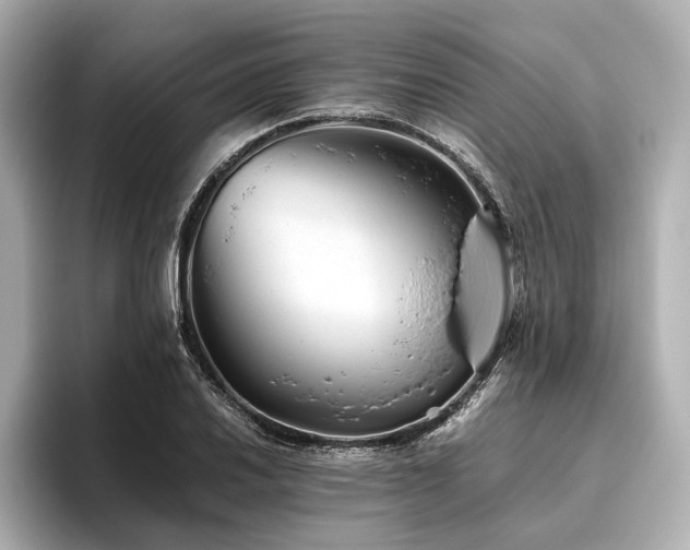 X0000096481030200801241440