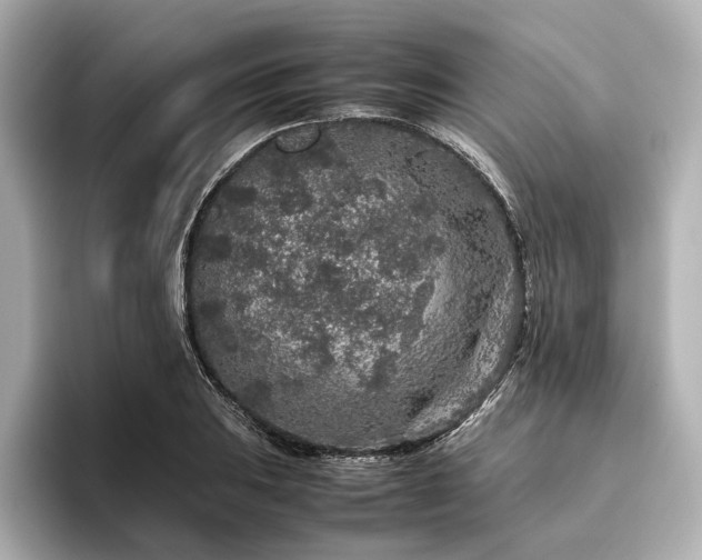 X0000096481031200801241440