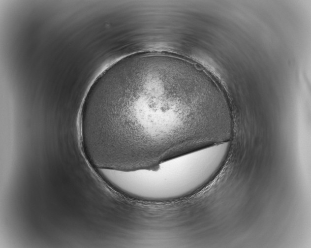 X0000096481032200801241440