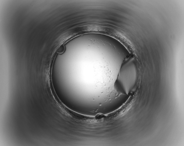 X0000096481033200801241440