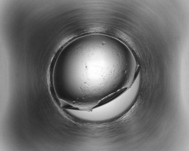 X0000096481034200801241440