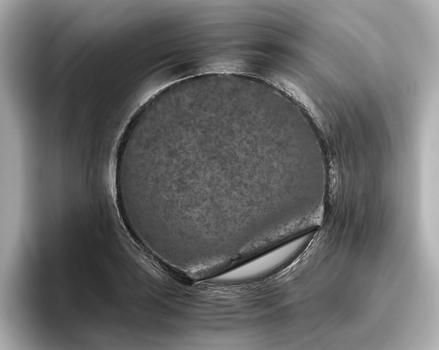 X0000096481035200801241440