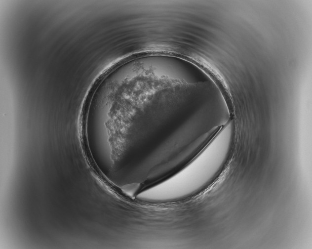 X0000096481037200801241440