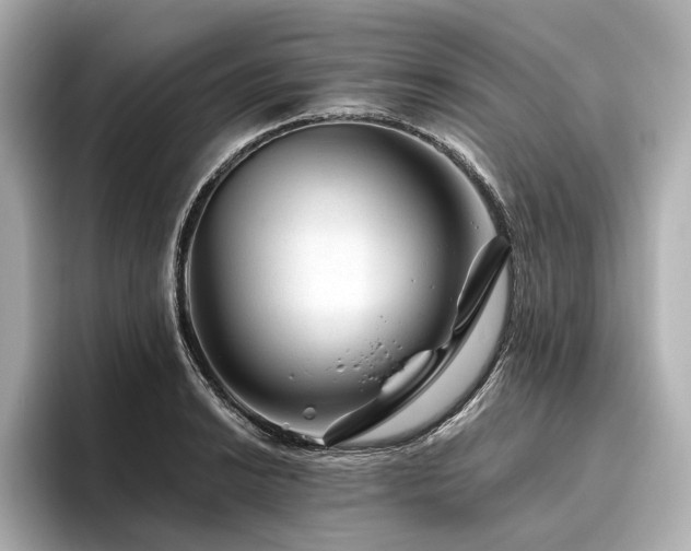 X0000096481038200801241440