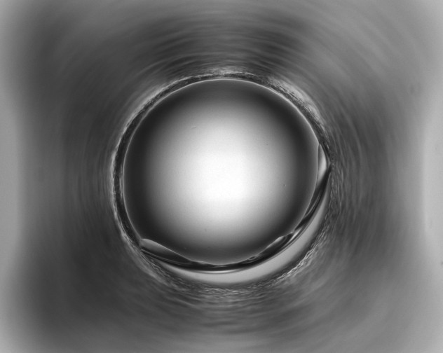 X0000096481039200801241440