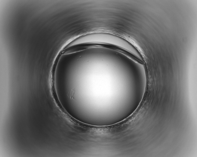 X0000096481040200801241440