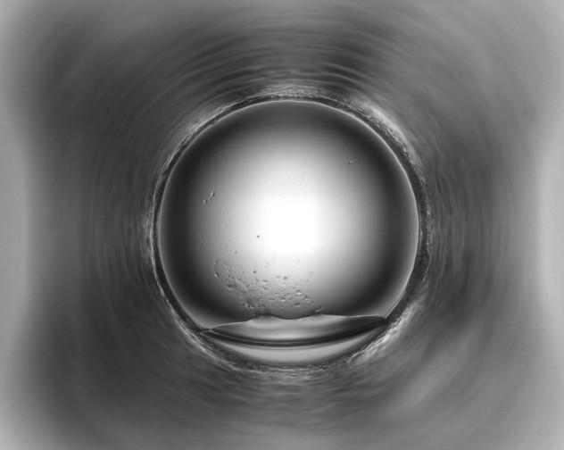 X0000096481041200801241440