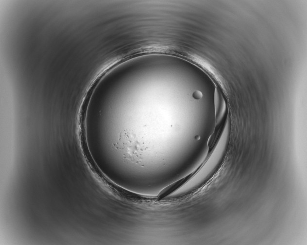 X0000096481042200801241440