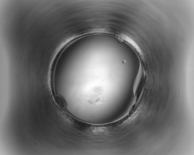 X0000096481043200801241440